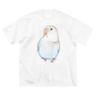 まめるりはことりのおすましコザクラインコ　らむねちゃん【まめるりはことり】 ビッグシルエットTシャツ