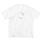 まめるりはことりのコザクラインコ　バイオレットパイドちゃん【まめるりはことり】 ビッグシルエットTシャツ