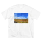 chami_graphのdouble rainbow ビッグシルエットTシャツ