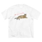 えみちーず（元野良と保護猫の為に🐾）のチャトラまったり🐾（さくら猫） ビッグシルエットTシャツ