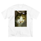 powpowの寝ぼけ猫 Big T-Shirt