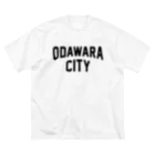 JIMOTO Wear Local Japanの小田原市 ODAWARA CITY ビッグシルエットTシャツ