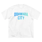 JIMOTO Wear Local Japanの小田原市 ODAWARA CITY ビッグシルエットTシャツ