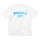 JIMOTO Wear Local Japanの都城市 MIYAKONOJO CITY ビッグシルエットTシャツ