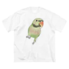 まめるりはことりのご機嫌なダルマインコちゃん【まめるりはことり】 Big T-Shirt