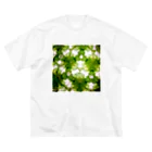 Parfume-weaverのポトス Big T-Shirt