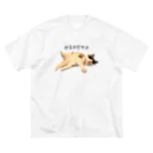 ANAN＠猫ひろしの人🥚🥚のやる気だせよ Big T-Shirt