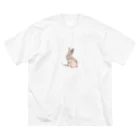 みzooのスフィンクス Big T-Shirt