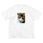 capricornusのふぇーちゃん Big T-Shirt