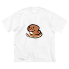 チェイタの爬虫類雑貨のチェイタシリーズ ビッグシルエットTシャツ