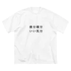 グラフィンの微分積分いい気分 ビッグシルエットTシャツ