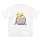 *KAKAPO*の*KAKAPO*のふんわりオカメインコちゃん(のまる) Big T-Shirt