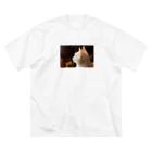 Arteのアンテナぴんぴんねこ ビッグシルエットTシャツ