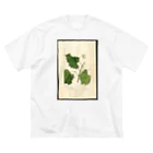 ArtShirtのScuppernong  Big T-Shirt