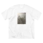 Yas😿🦖🕊の恐竜シリーズ Big T-Shirt