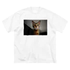 catとdogのBengal猫7 ビッグシルエットTシャツ
