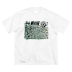 とろろ∞☺︎のplants Big T-Shirt