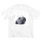 hey*flower のゴロゴロしたい🐨 Big T-Shirt