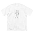 あおいらんぷのぶらんこ ビッグシルエットTシャツ