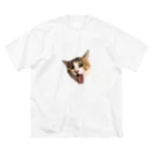 ぺんAgのアインシュタインﾈｺﾁｬﾝ【猫】 ビッグシルエットTシャツ