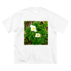 asako=niagaraの植物図鑑 ハクサンイチゲ ビッグシルエットTシャツ
