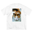 猫写真家「むに」のアトリエの三毛猫どーん ビッグシルエットTシャツ