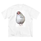 白文鳥のおもちさんの白文鳥のおもち ビッグシルエットTシャツ