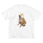 飛び火の柴犬のぷく ビッグシルエットTシャツ