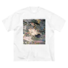 縞々田の薄片 片岩 雲母検板 ビッグシルエットTシャツ