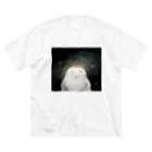 SpaceAnimal -スペースアニマル-の宇宙梟 ビッグシルエットTシャツ