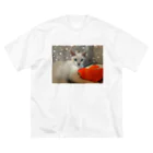 ピクジのお魚添い寝猫 ビッグシルエットTシャツ