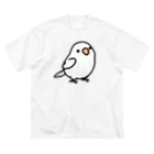 Cody the LovebirdのChubby Bird オキナインコ ビッグシルエットTシャツ