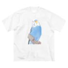 まめるりはことりのセキセイインコちゃんと止まり木【まめるりはことり】 Big T-Shirt