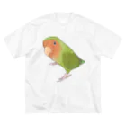 まめるりはことりの見つめるコザクラインコちゃん【まめるりはことり】 ビッグシルエットTシャツ