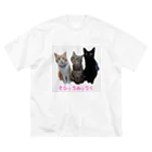 そら＆うみ＆りくのそら☆うみ☆りく ビッグシルエットTシャツ