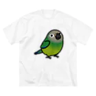 Cody the LovebirdのChubby Bird シモフリインコ ビッグシルエットTシャツ