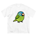 Cody the LovebirdのChubby Bird トガリオインコ ビッグシルエットTシャツ