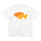 金魚のキンボの金魚 らんちゅう ビッグシルエットTシャツ