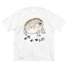 LalaHangeulの사막 비 개구리(ナマカフクラガエル)　ハングルバージョン Big T-Shirt