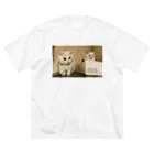 道端の白猫とカニ ビッグシルエットTシャツ