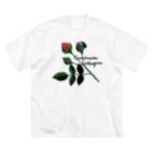 Alba spinaの薔薇蕾のゾウムシ 루즈핏 티셔츠