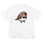 Cody the LovebirdのChubby Bird キンカチョウ ビッグシルエットTシャツ