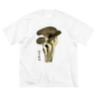 脂身通信Ｚのひらたけ_2111 Big T-Shirt