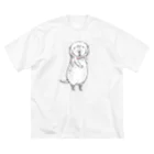 MIKAERUのハダカデバネズミさん Big T-Shirt