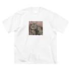 ポップヌードルのあずき猫 ビッグシルエットTシャツ