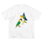 piyopiyobrandのシロハラインコたち ビッグシルエットTシャツ