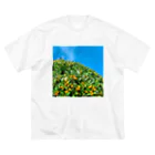 shirado_kazukiの小さな山 Big T-Shirt