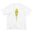 まめるりはことりの見返り美人セキセイインコちゃん【まめるりはことり】 Big T-Shirt