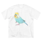 まめるりはことりの見上げるセキセイインコちゃん【まめるりはことり】 Big T-Shirt