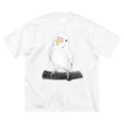 まめるりはことりのまったりセキセイインコちゃん【まめるりはことり】 ビッグシルエットTシャツ